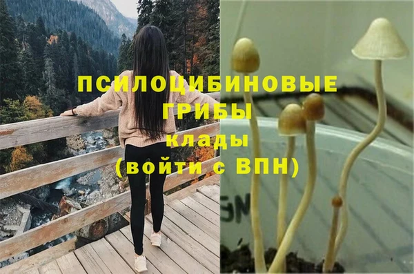 стафф Богданович
