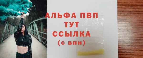 стафф Богданович