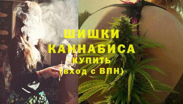 стафф Богданович