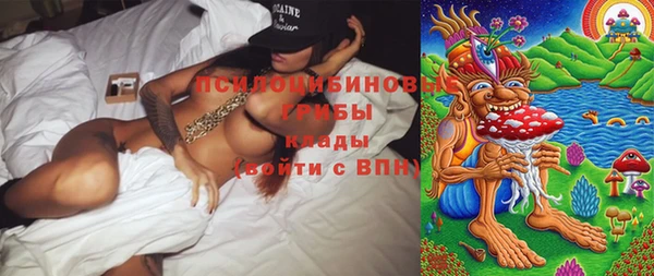 стафф Богданович