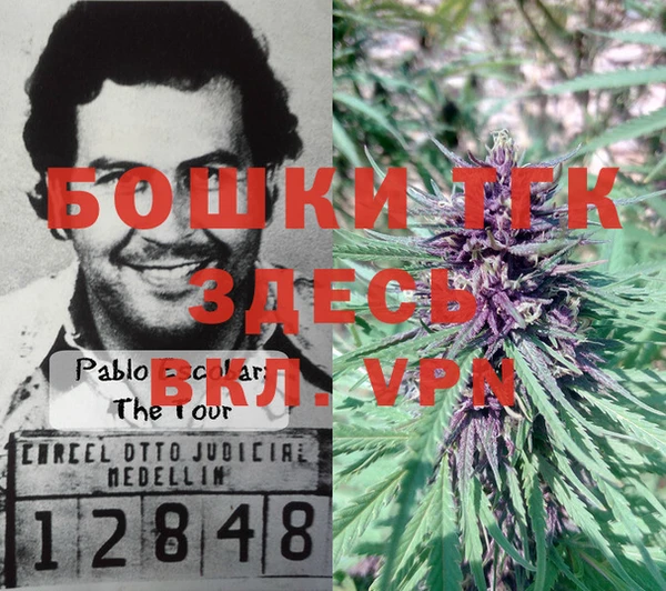 мяу мяу мука Богородицк