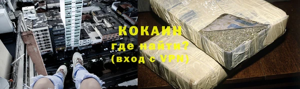 стафф Богданович