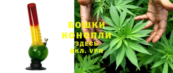 стафф Богданович